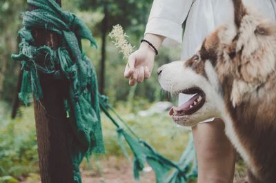 Midsection of woman with dog by wooden post