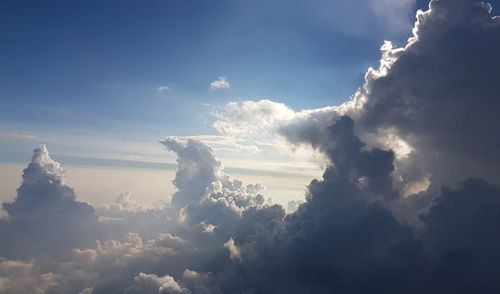 Low angle view of trees against sky