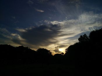 Silhouette of trees at sunset