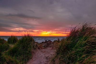 Scenic view of sea against sky during sunset