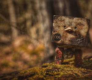 Toy on mossy ground against blurred background