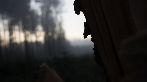 Silhouette of man against sky