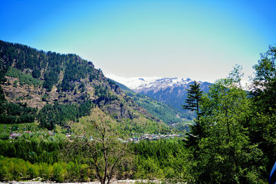 Scenic view of forest against clear sky