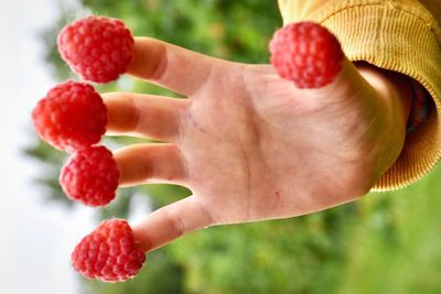 Close-up of hand holding strawberries