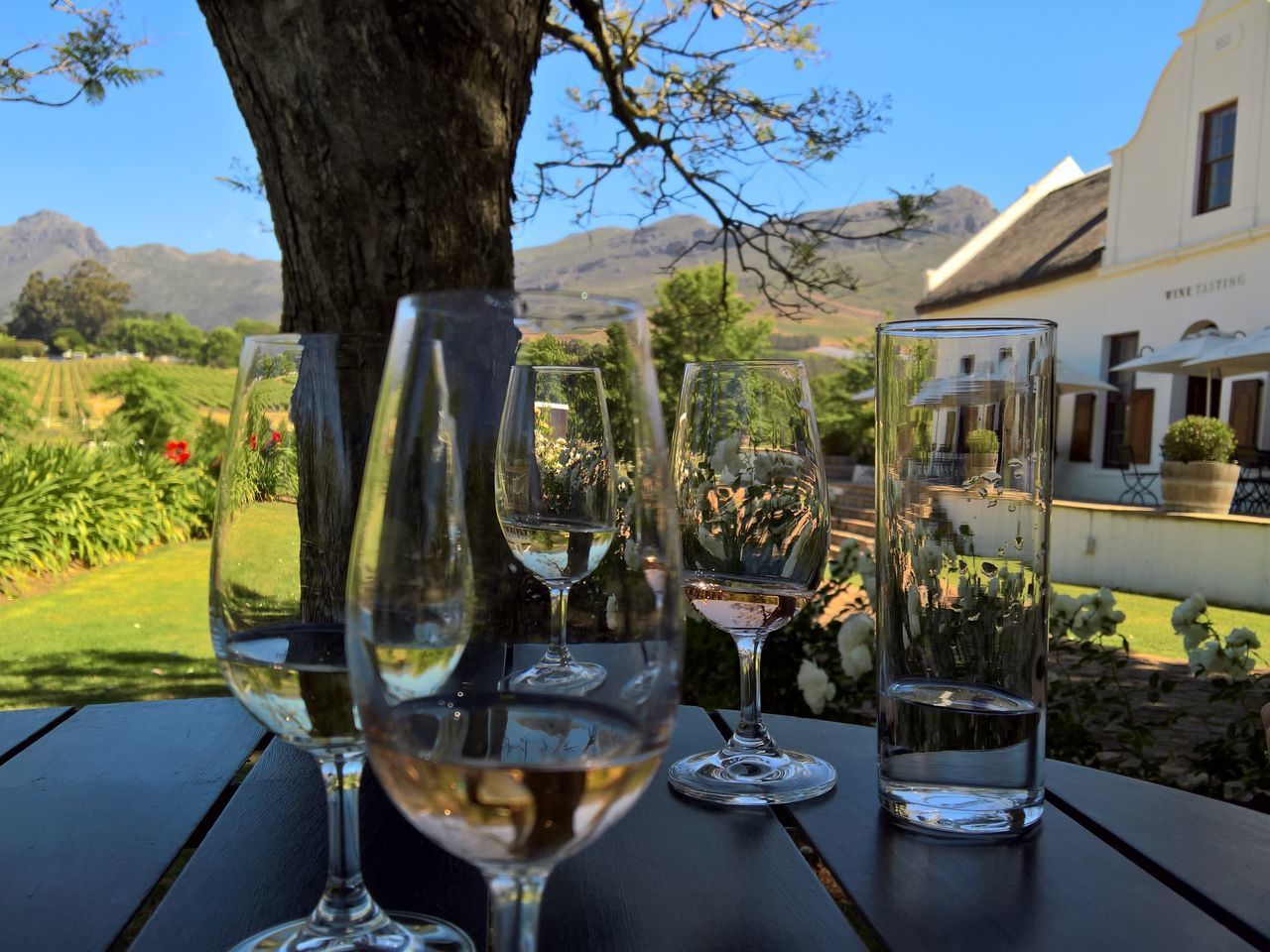 VIEW OF WINE GLASS ON TABLE