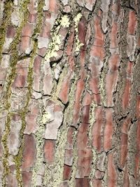Full frame shot of weathered wall