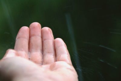 Close-up of human hand