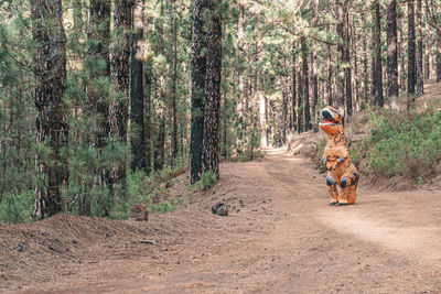 Man riding motorcycle on road amidst trees in forest