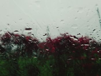 Full frame shot of wet glass window in rainy season