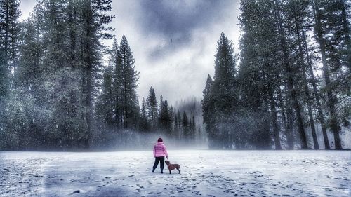 Rear view of person with dog standing on snow covered field