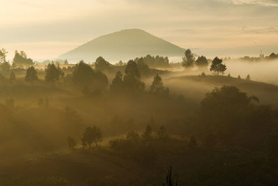 Panoramic shot of mountain landscape on a misty and foggy morning 