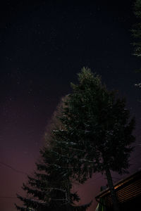 Low angle view of silhouette tree against sky at night