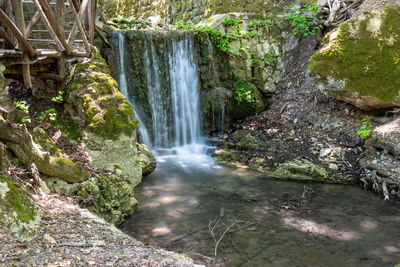 Scenic view of waterfall in forest
