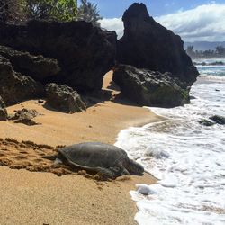 Rocks in sea