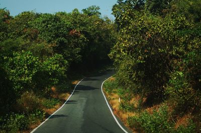 High angle view of road in forest