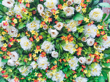 High angle view of flowering plants