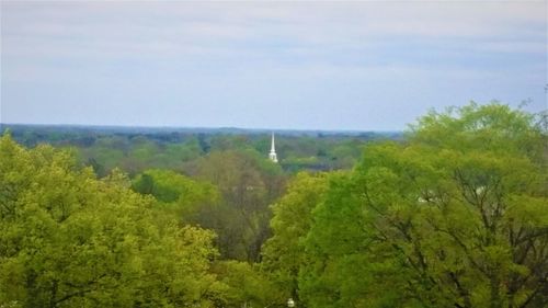 Scenic view of forest against sky