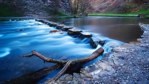 Scenic view of lake in forest