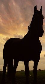 Silhouette of horse standing on landscape