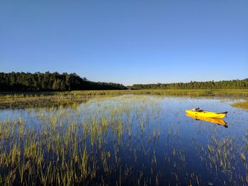 Scenic view of lake against clear blue sky