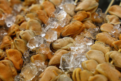 Close-up of mussels with ice on table