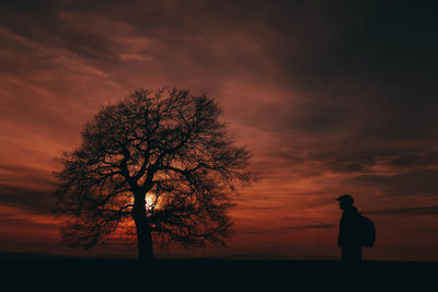 Silhouette man photographing by tree against orange sky