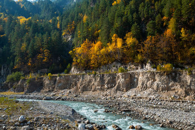 Beautiful mountain gorge with a river in the chechnya mountains in autumn