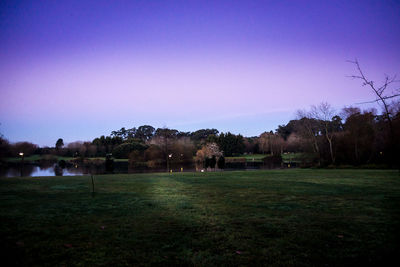 Scenic view of grassy field against blue sky