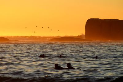 Silhouette birds flying over sea against sky during sunset