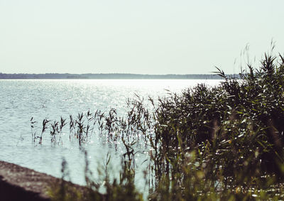 Scenic view of calm sea against clear sky