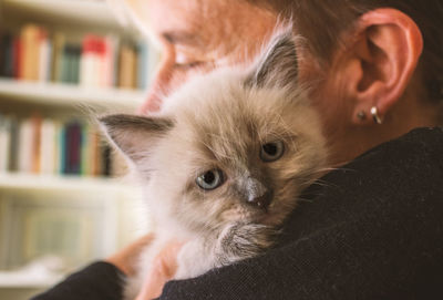 Close-up of kitten