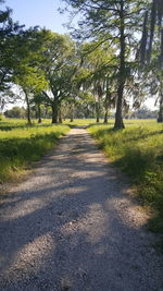 Road amidst trees against sky