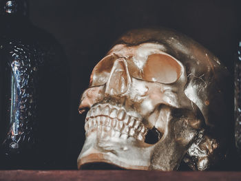 Close-up of human skull on the table