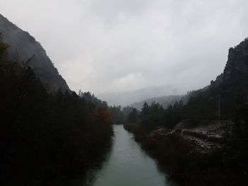 Scenic view of forest against sky