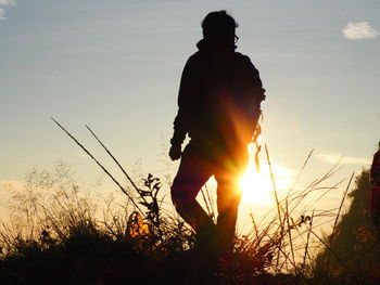 Sun shining through trees