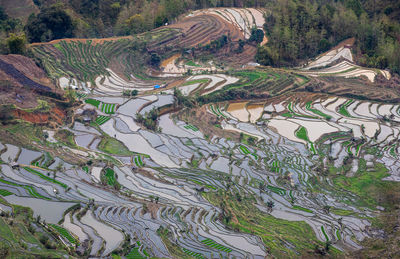 High angle view of agricultural field