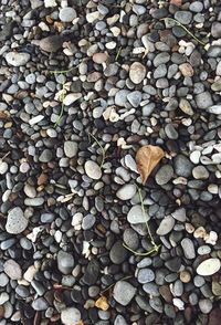 Full frame shot of stones