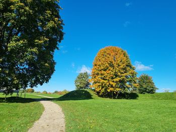 Trees on field against clear blue sky