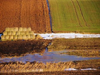 Scenic view of agricultural field