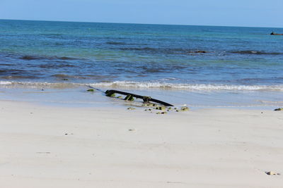 Scenic view of beach against clear sky