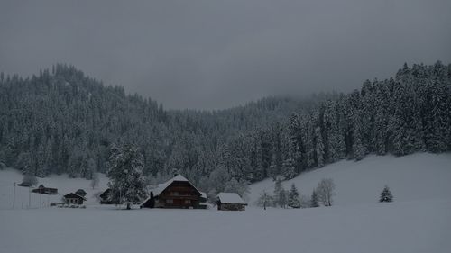Snow covered houses and trees against sky