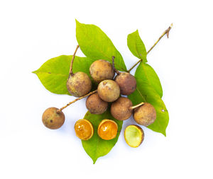 High angle view of fruits and leaves on white background