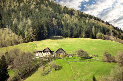 Scenic view of trees and houses on field against sky