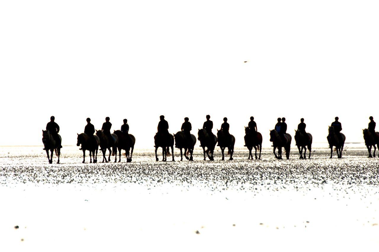 GROUP OF SILHOUETTE PEOPLE ON BEACH