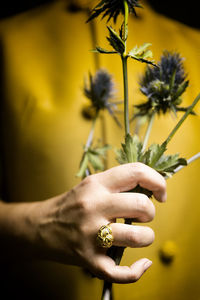 Yellow flowers and thistles near the heart iii