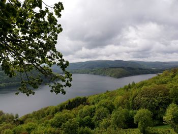 Scenic view of lake in forest against sky