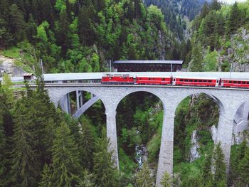High angle view of train on arch bridge against tree mountain