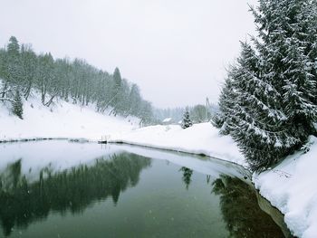 Snow covered pine trees against sky during winter