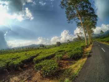 Road passing through field against cloudy sky