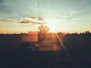 Silhouette trees on field against sky during sunset